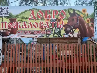 Стрижели - 34