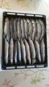 Усадьба Власовых - 49