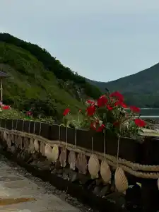 Чинтамани кемп - 5