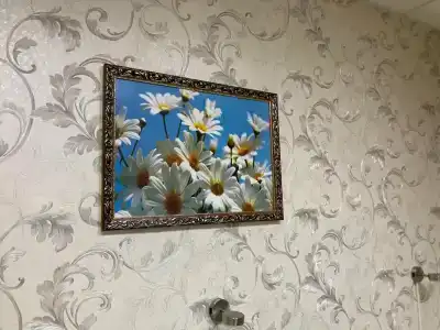 Спорт - 3