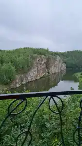 Сосновый бор - 93