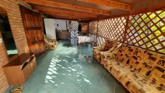 Тюльпан - 2