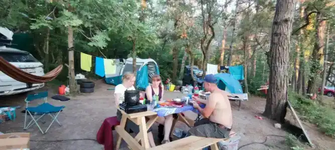 Сосновый берег+ - 47