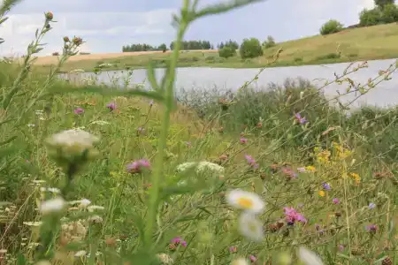 Лукоморье - 47