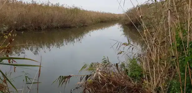 База отдыха на Сладком лимане - 18