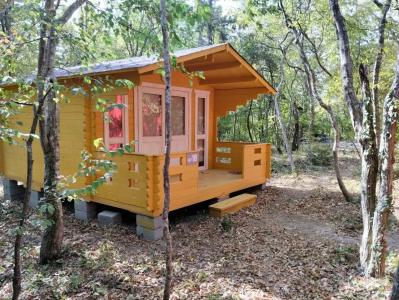 Эколоджия - 19