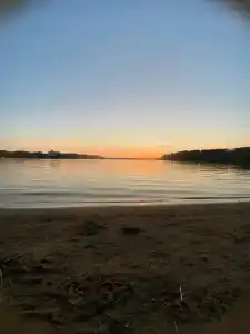 Смородина - 23