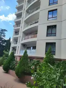 в ЖК Солярис - 33