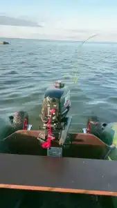 Чёрная Лахта - 5