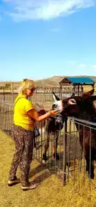 Страусиная ферма Экзотик - 96