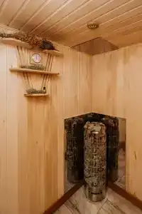 Хвоя - 40