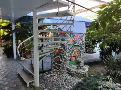 у Левы - 12