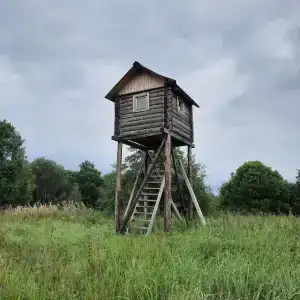 Раздобарино - 8