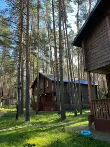 Чайка - 50