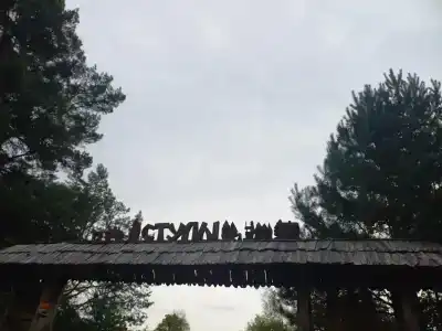 Стулы - 21