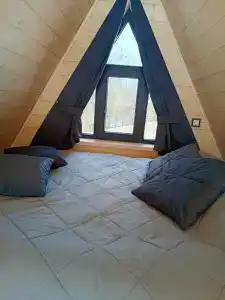 Камыши - 24