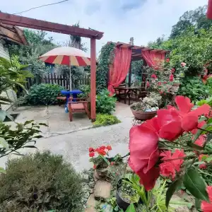 Усадьба Пантелея - 5