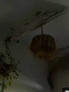 Пенеснарь - 73