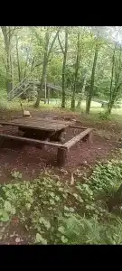 Бархатная Сихотэ - 4