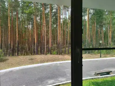 Русский лес - 94