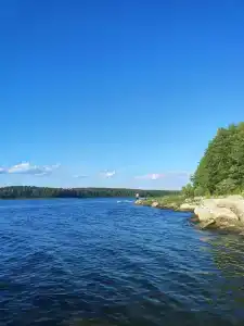 Сосенка - 17