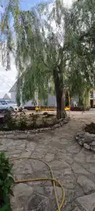 Горный - 26