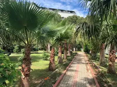 Mc Beach Park Resort - 5