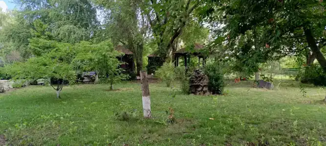 13 кордон - 74