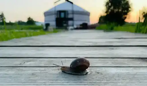 Глэмпинг TeepeeTop - 5