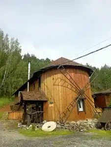 Тайга - 58