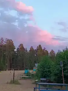 Троллейбусник - 7