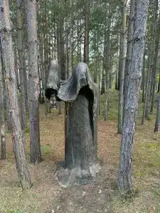 Центр Курма - 33