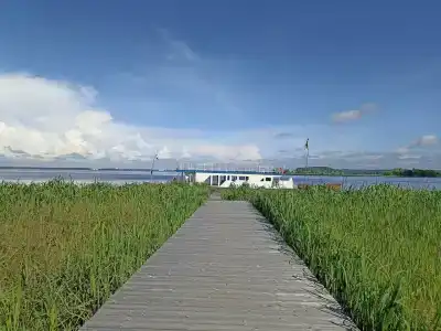 ГаммаСофт - 15