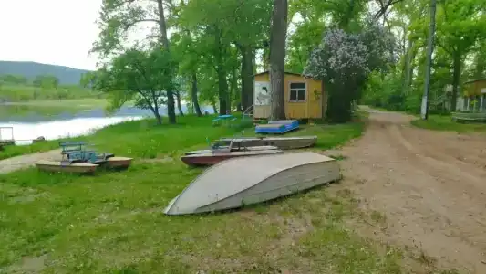 Тополя - 0