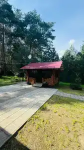 Мечта - 21