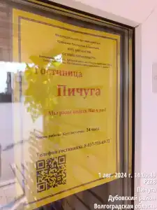 Пичуга - 29