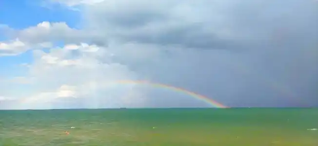 Жемчужный - 6