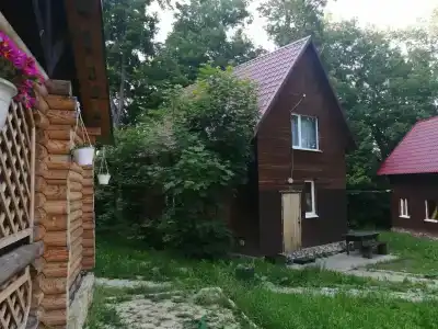 Дубрава - 6