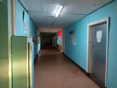 Берёзка - 30