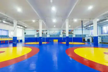 Спорт - 35