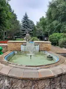 Лесной - 29
