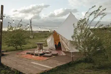 Сыч - 25