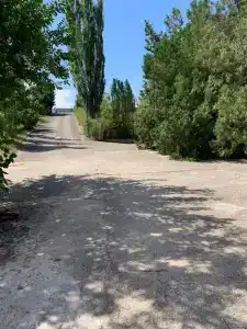 В гостях у Джокера - 36
