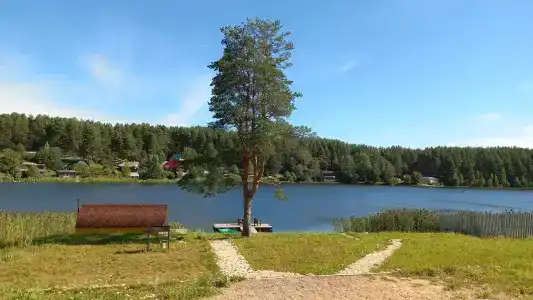 Гостевой комплекс в д. Нурмолицы - 68