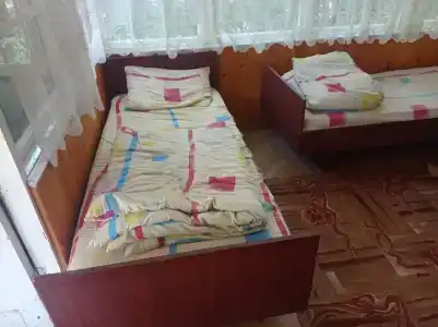Тонус - 11
