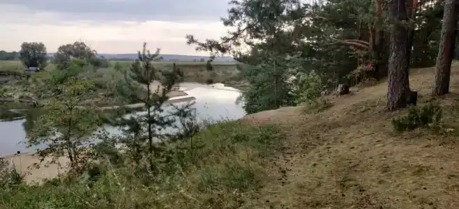 Белые бугры - 73