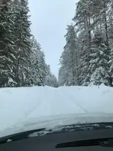 Селигерское заплавье - 95