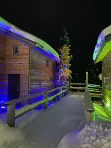 Арктик Хоум - 19