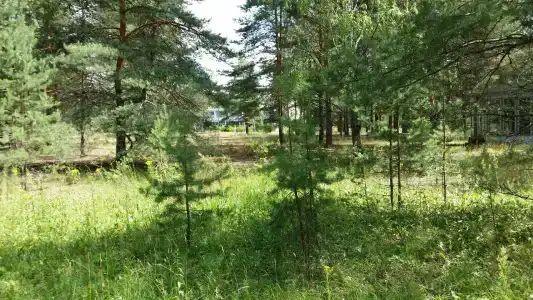 Волна - 83
