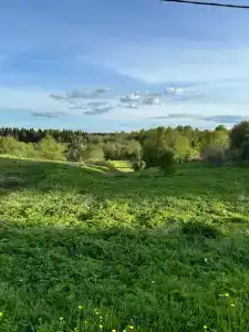 Елизарово - 47